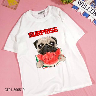 ÁO THUN NAM NỮ IN HÌNH CHÓ MẶT XỆ ĂN DƯA HẤU SURPRISE MÙA HÈ ĐI BIỂN CRAZTEE