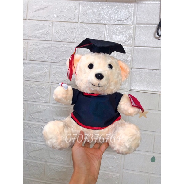 30cm-20cm GẤU BÔNG TỐT NGHIỆP LÔNG XÙ Cao Cấp - Tặng Kèm Túi Gói Quà + Nơ