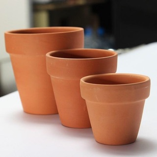 10 chậu đất nung size  6*6 Trắng và Nâu