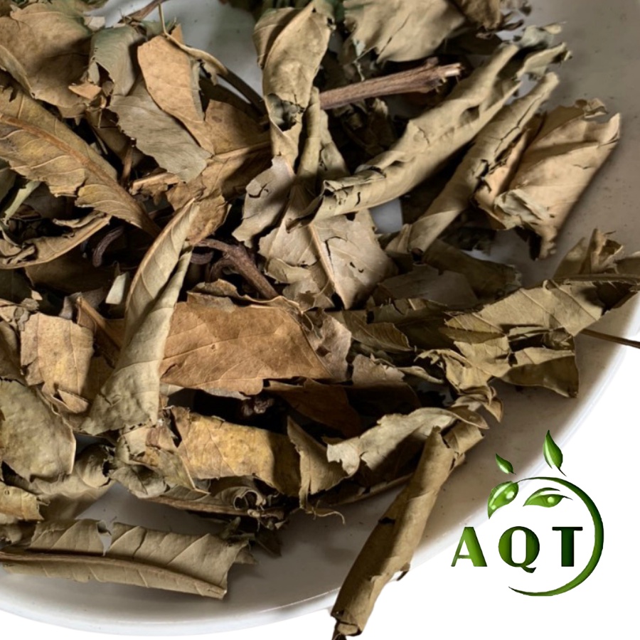 1kg Lá Vối Khô Tự Nhiên (Sạch, thơm) Hỗ Trợ Bệnh Gout, Tiểu Đường, Giúp Lợi Sữa