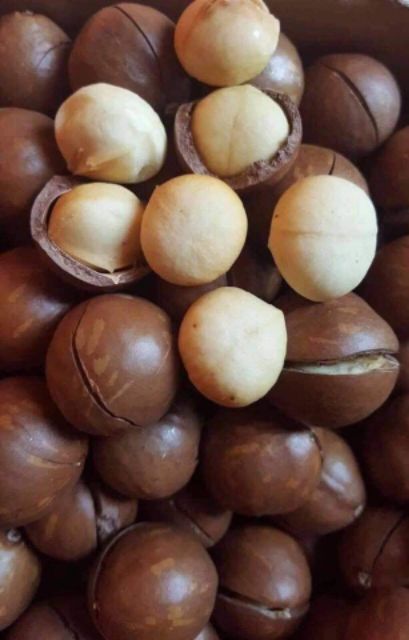[Mã GROSALE2703 giảm 8% đơn 250K] Túi 500g Hạt Maccadamia Nuts date 2023