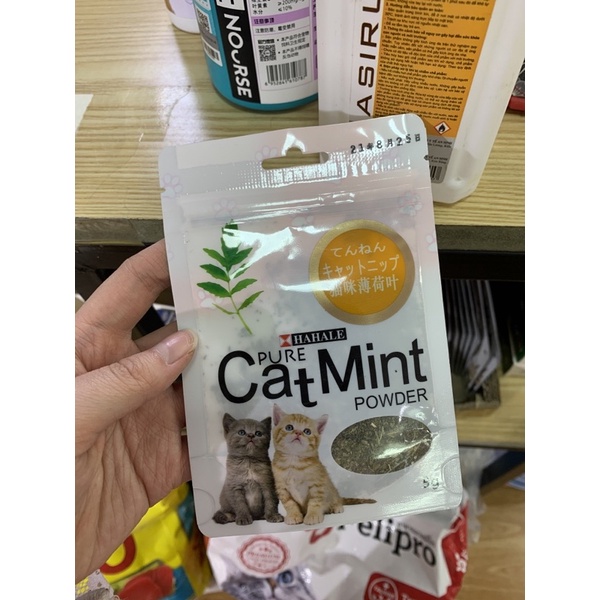 Catnip cỏ bạc hà cho mèo kích thích tiêu hóa, xả stress cho mèo, kích thích khạc lông