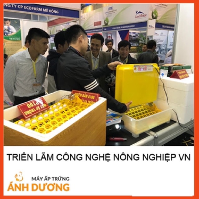 Máy ấp trứng mini Ánh Dương P100 khay tự động đảo 108 quả - máy ấp trứng gà , vịt , ngan đảo tự động hoàn toàn