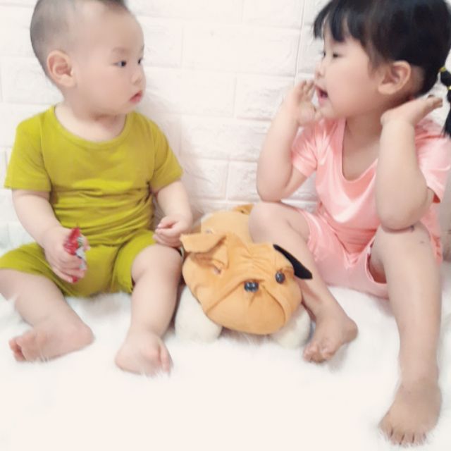 Combo bộ minky 260