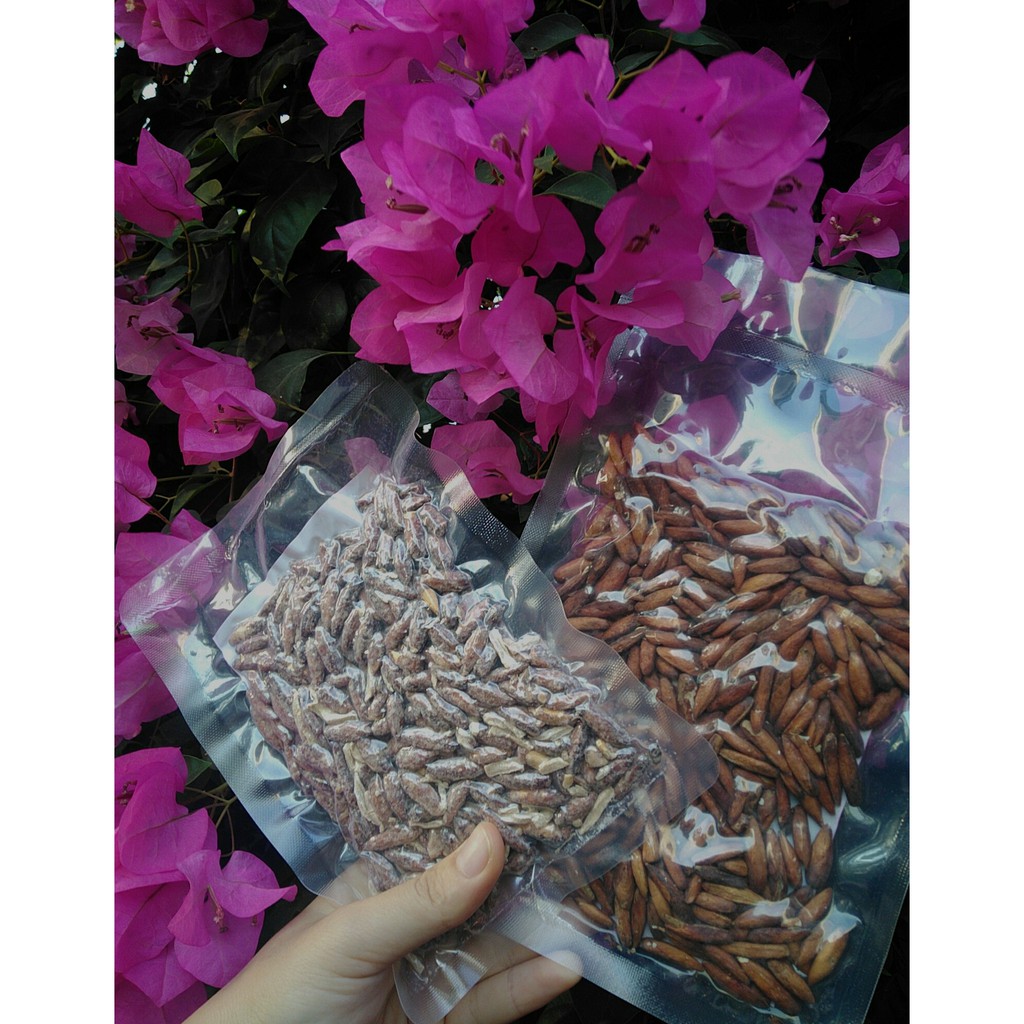 HẠT BÀNG CÔN ĐẢO NHÂM NHI MÙA HÈ