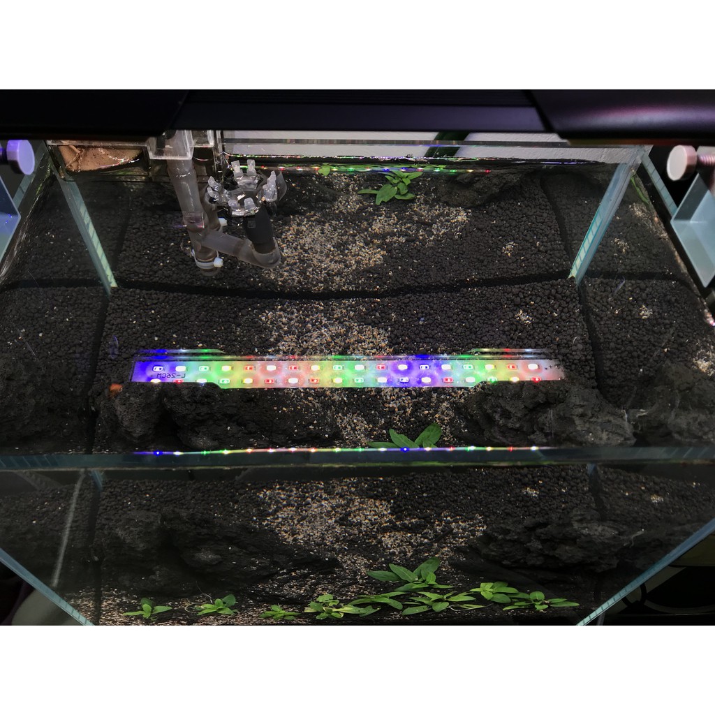Đèn LED thủy sinh siêu sáng DFS HC RGB