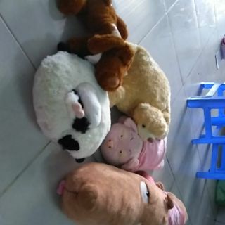Gấu của mai nguyễn
