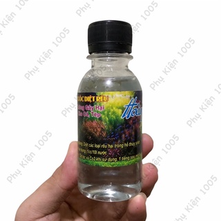 Diệt Rêu Bể Cá Hoàng Nam