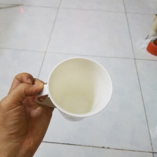 Ly sứ elmich cao cấp 6865