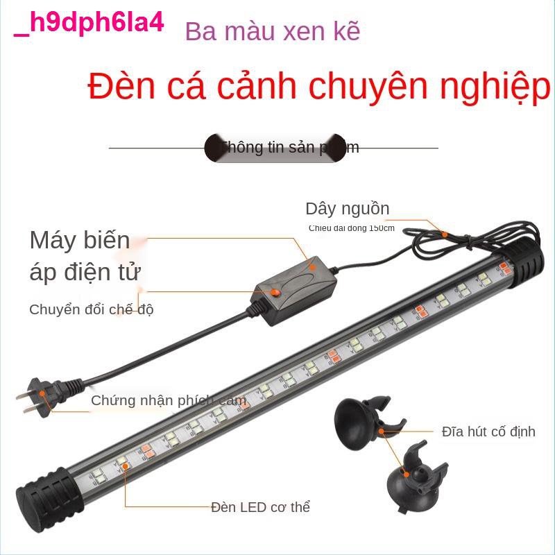 đèn phòngđèn lặn bể cá ánh sáng cảnh quan led hồ chống thấm T4LED rồng đặc biệt