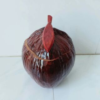 Bình đựng ấm trà bằng trái dừa. Tặng ấm trà như hình!