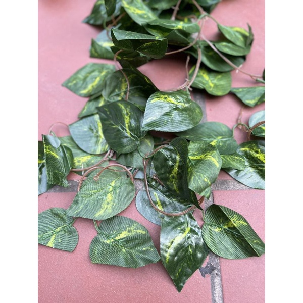 Lá gia_Bó 5 dây lá 2m4 trang trí,decor hàng quán, nhà cửa