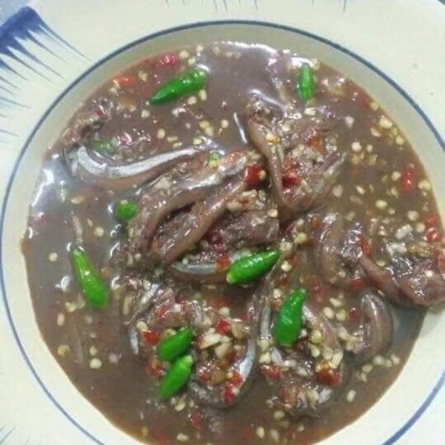 mắm cá cơm bình định