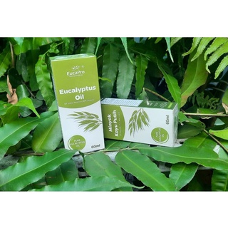 Dầu Khuynh Diệp Eucapro - Eucapro Eucalyptus Oil - 60ML