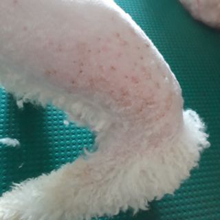 Bộ đôi thần thánh đặc trị các vấn đề về da