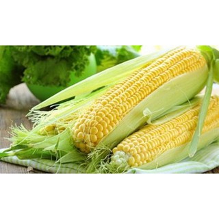 Hạt giống Bắp ngọt Ngô Ngọt  100gram