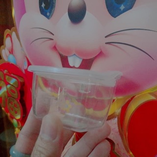 Máng ăn chống vảy mẫu mới dành cho chim cảnh