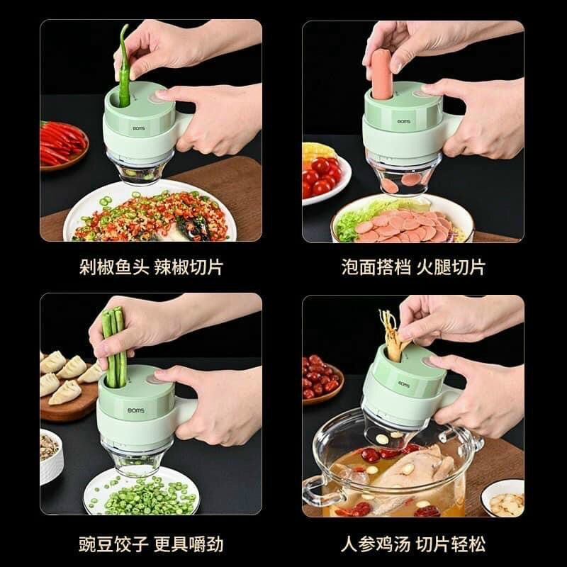 MÁY XAY THÁI TỎI, ỚT, HÀNH, THỊT, TÔM, CUA, CÁ, RAU, CỦ, QUẢ, SINH TỐ