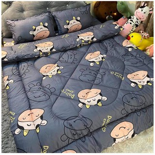 Bộ 5 món ga gối chăn phao poly cotton có ruột bông dày loại 1