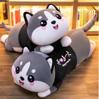 Gối ôm cho bé, gối ôm hình thú mèo husky - gấu bông mèo mắt tròn size 50cm - ảnh sản phẩm 1