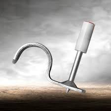 tắc kê phi 20, combo 100 con