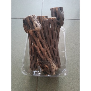 Lũa cholla (lũa xương rồng) cho hồ tép cảnh