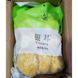 Ngân Nhĩ (Tuyết Nhĩ)