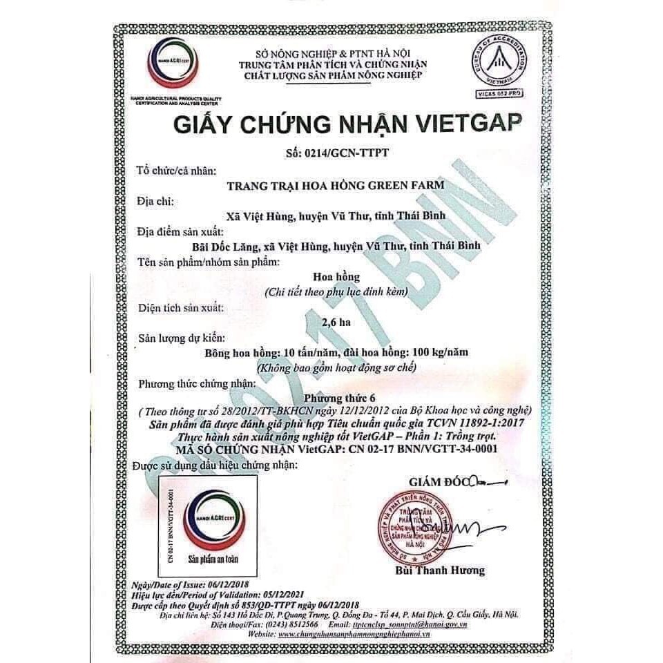 🔥  SON SÁP HOA HỒNG HỮU CƠ MAROSA LACO  🔥 | BigBuy360 - bigbuy360.vn