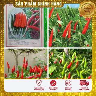 Hạt Giống Ớt Chỉ Thiên(30 hạt)