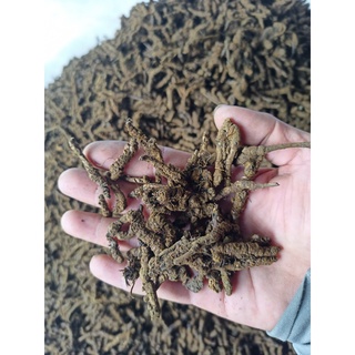 HOÀNG LIÊN NGUYÊN (Loại 1) /200g (giá sỉ theo số lượng)