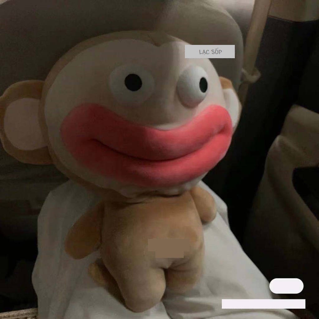 Order | Khỉ bông môi trề mắt trố độc đáo lạ mắt