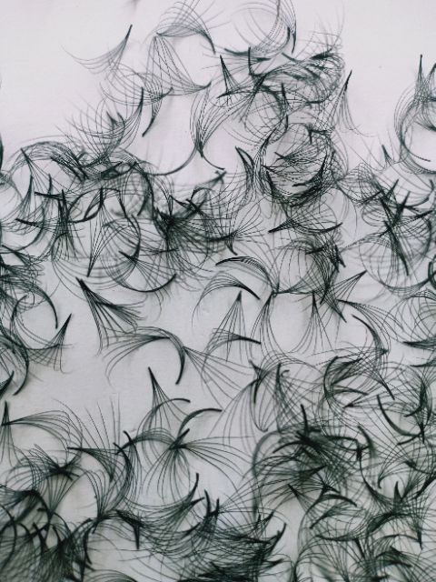 Mi fan 6d - hộp 1000 fan