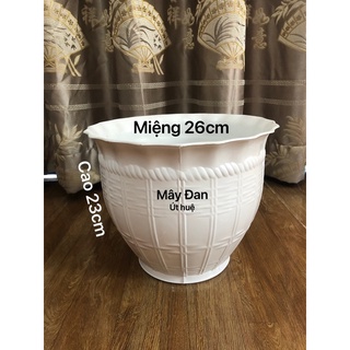 Chậu nhựa trồng cây 2 cái Đan Mây trắng