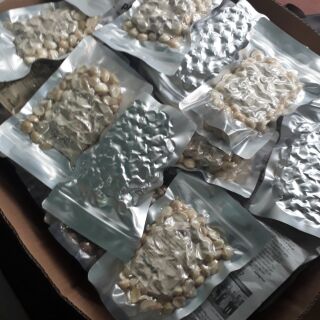 Mắc ca nhân vỡ 500g