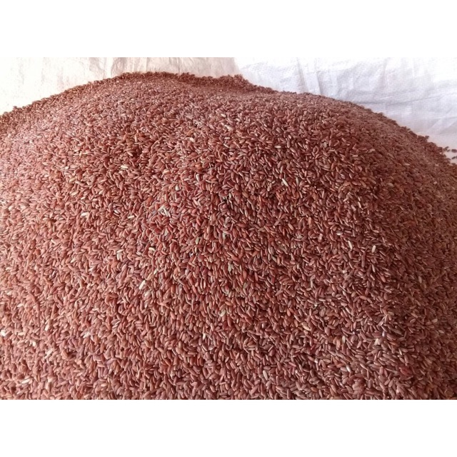 Trà Gạo Lức RangFree ShipThanh Lọc Cơ Thể 5kg