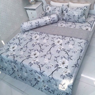 Sét chăn hè và ga chun poly