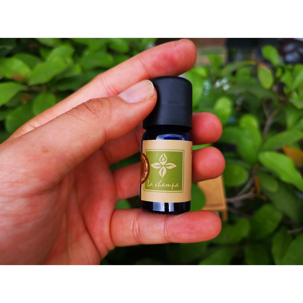 Tinh Dầu Củ Gừng ,Tinh Dầu Gừng Ginger Oil 10ml-100ml