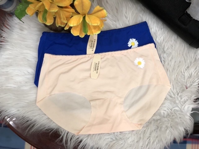 COMBO 10 QUẦN ĐÚC SU TRƠN HOA CÚC