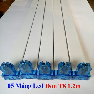 [COMBO] 05 Máng Đèn Led Đơn T8 1.2m Cao Cấp