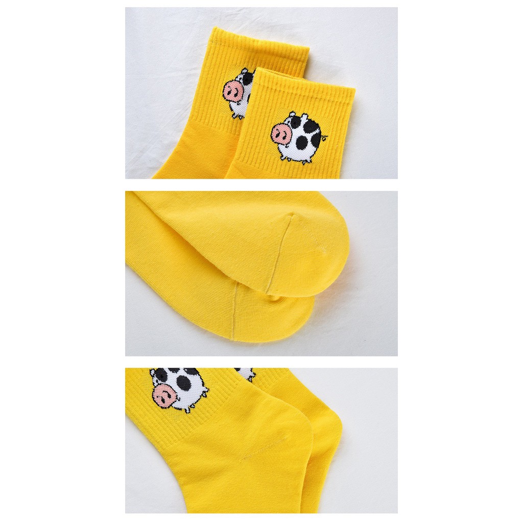 Tất unisex Bateno cao cổ nhiều màu phong cách Hàn Quốc độc đáo TN84
