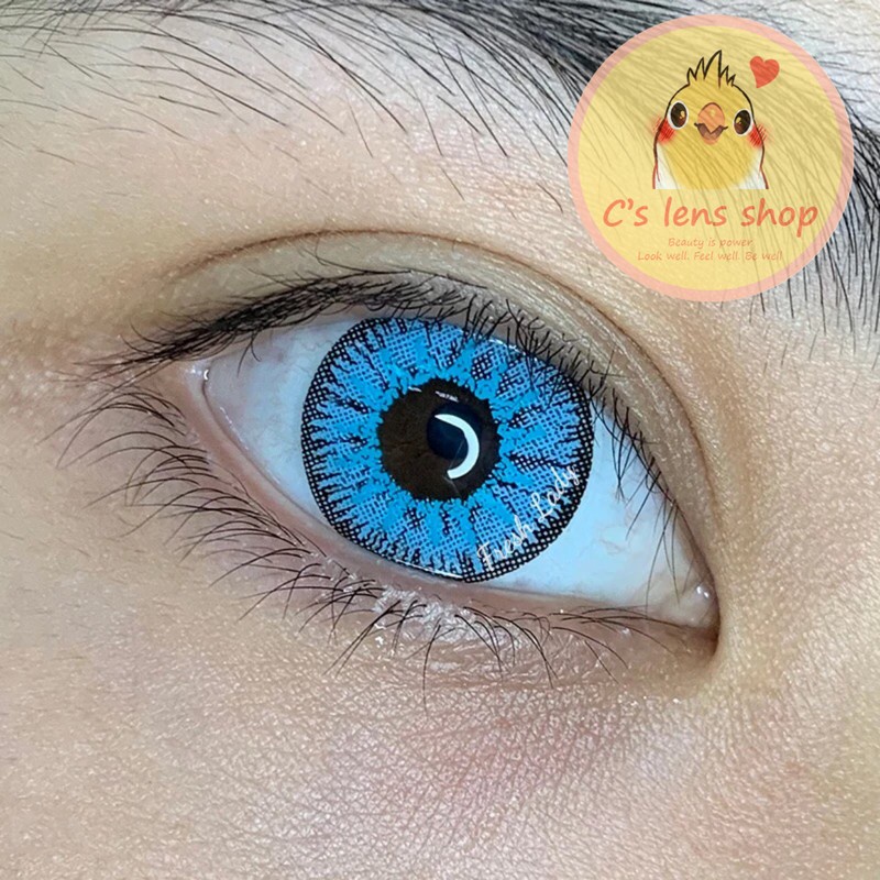 < CÓ SẴN > Kính áp tròng mẫu VIGA màu XANH BIỂN, cận 0-8 [ KHÔNG BÁN LỆCH ĐỘ ]