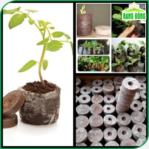 Viên nén xơ dừa ươm Hạt giống  viên nén sơ dừa tiện dụng, tiết kiệm thời gian, sạch 100% - Hạt giống Rạng Đông