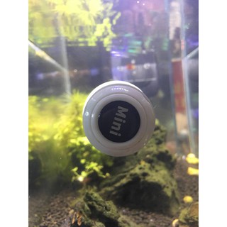 Cọ bể nam châm QuanLong Mini
