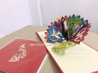 Chim  Công - Bird - Peacock - Thiệp 3D