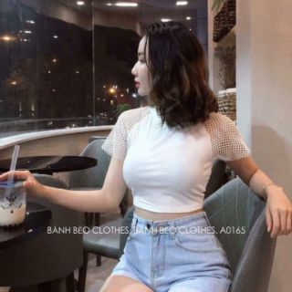 Áo croptop lưới / trơn