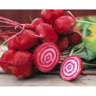 Hạt giống Củ dền đỏ (Italia) 2gr