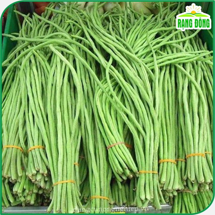 Hạt giống Đậu Đũa Ngọt Bụi Lùn Trồng Quanh Năm, Cây Sinh Trưởng Khỏe (gói 20 gram) - Hạt giống Rạng Đông