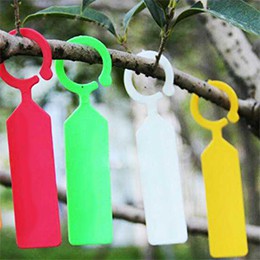 100 Thẻ móc ghi tên lan