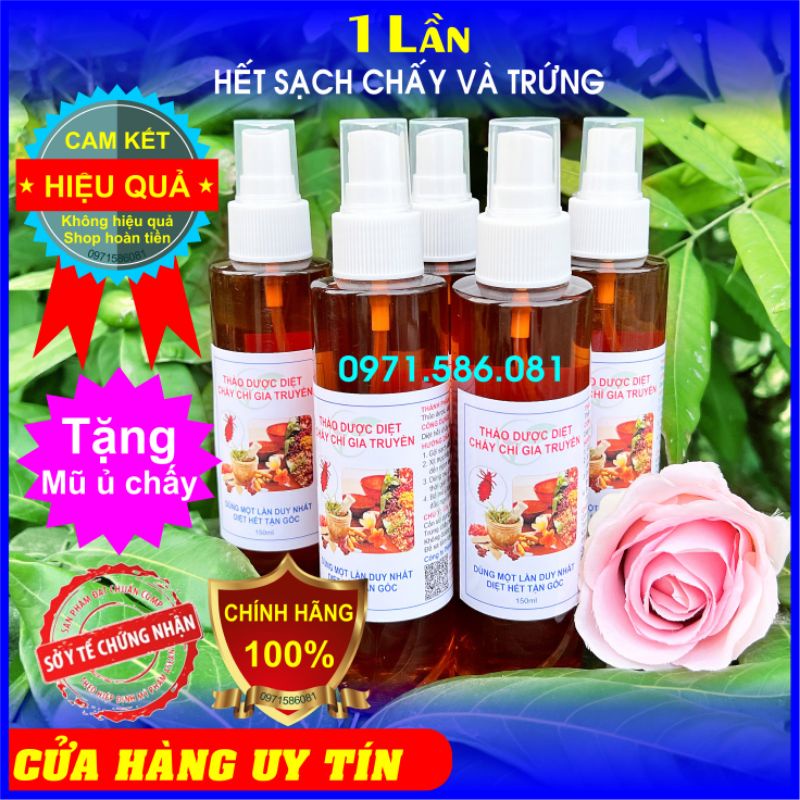 Dầu Gội Chấy Chí. Ủ Chấy. Thảo Dược Diệt Chấy Chí. [Hàng Công Ty Chính Hãng]. Dùng 1 Lần Hiệu Quả