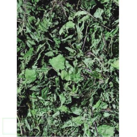 100gr bạc hà khô, lá bạc hà khô hàng chuẩn xịn